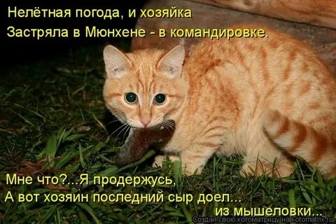 Погода нелетная как пишется