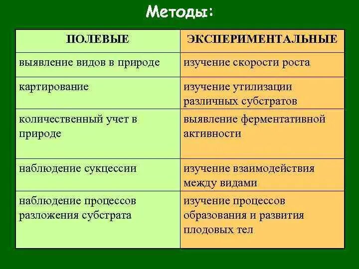 1 полевое исследование. Методы исследования грибов. Методы изучения грибов. Виды полевых методов исследования. Метод исследования грибов.