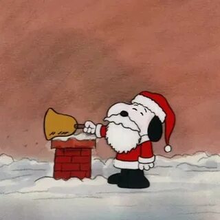 Begging christmas