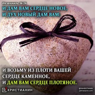 Живу люблю пишу каменное сердце