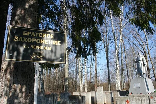, великолукский р-н, обелиски. Войбокало братская могила. Памятник крюково зеленоград. Братская могила волгоград самофаловка. Памятник на братской могиле у станции крюково.