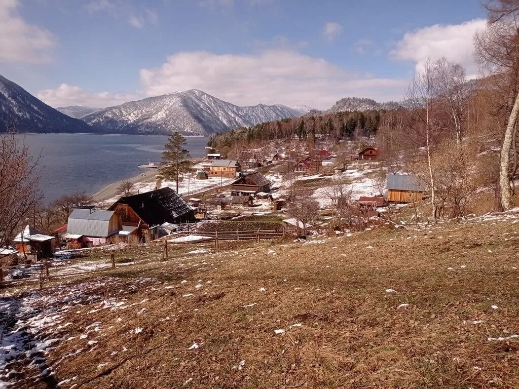 Село Яйлю Алтайский заповедник. Яйлю заповедник Телецкое. Алтайское Заповедное село Яйлю. Горно Алтайск село Яйлю. Алтай вконтакте