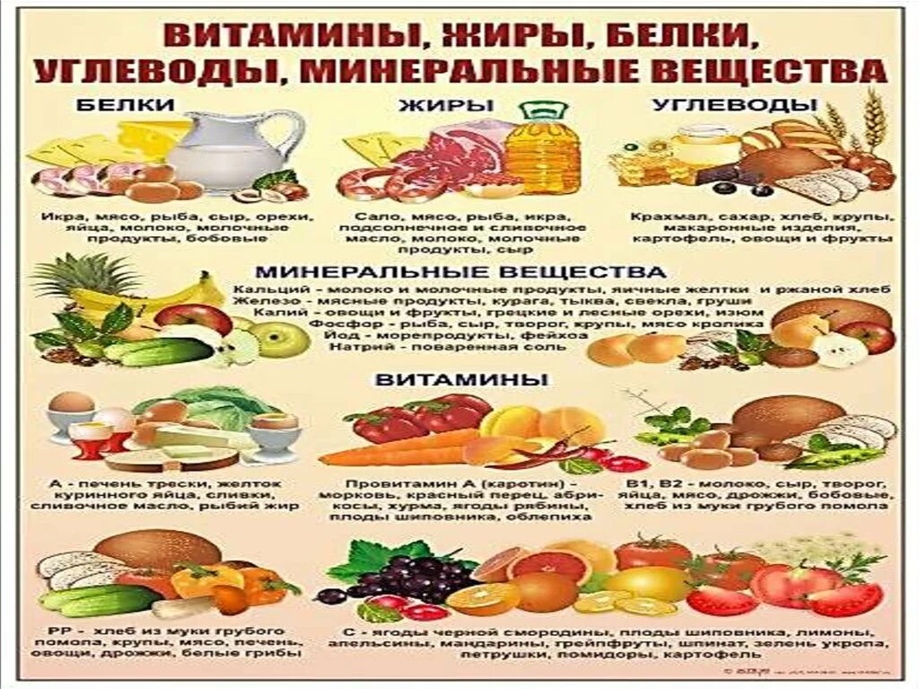 Белки жиры углеводы витамины микроэлементы. Рациональное питание белки жиры углеводы. белки жиры углеводы витамины минералы. белки жиры углеводы витамины минеральные вещества. принципы рационального питания таблица.