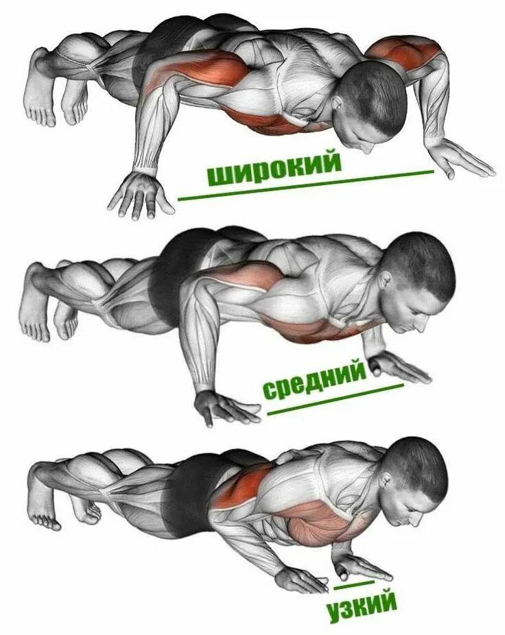 Правильная методика отжимания от пола. Правильное выполнение отжиманий. Отжимания от пола правильная техника выполнения. Правильная техника отжиманий от пола. Правильные отжимания.