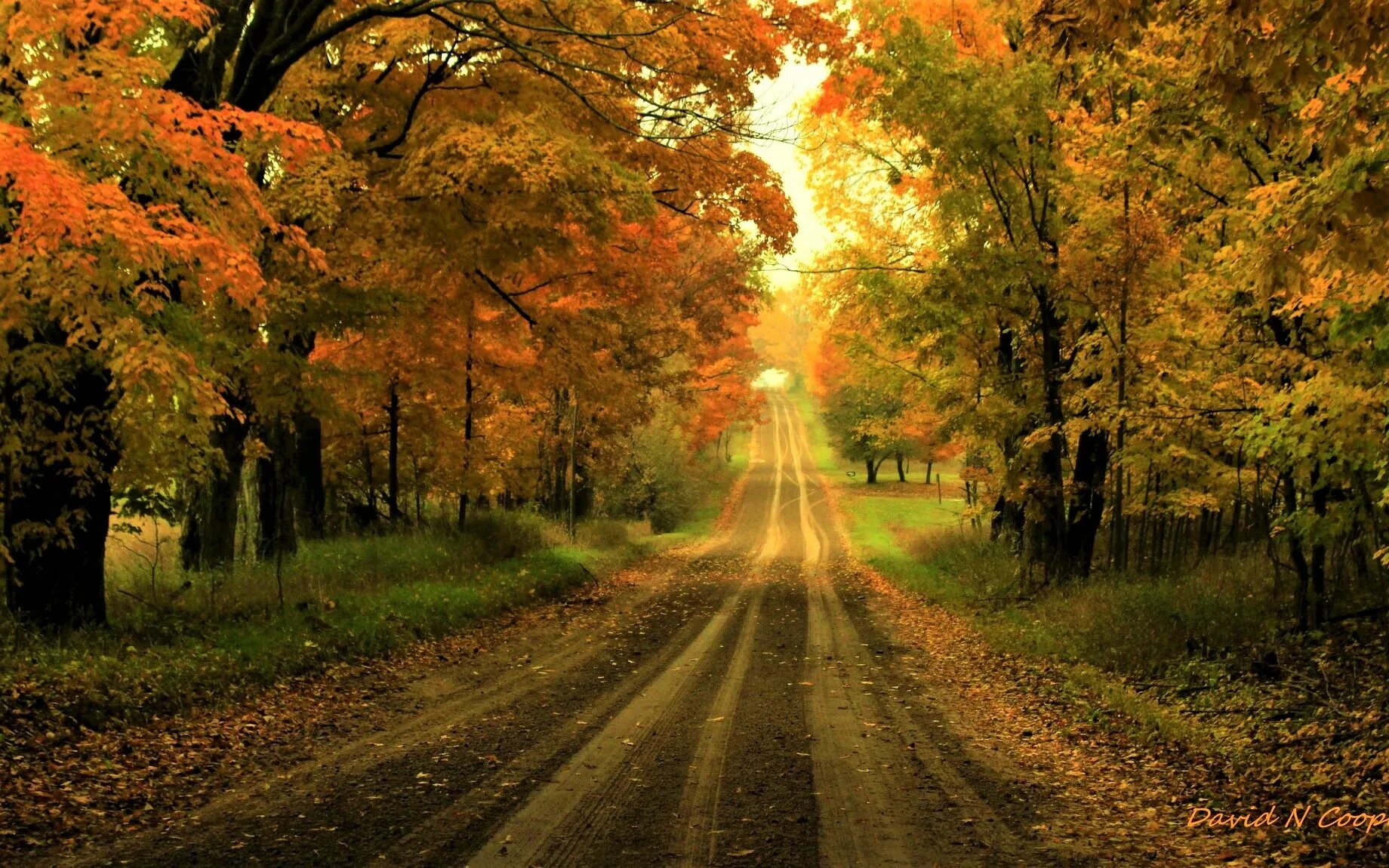 The trees fall across the road. Осень солнце. Картинки на рабочий стол осень. Тропинка и осенняя листва. Картинки осенняя дорога велосипед.