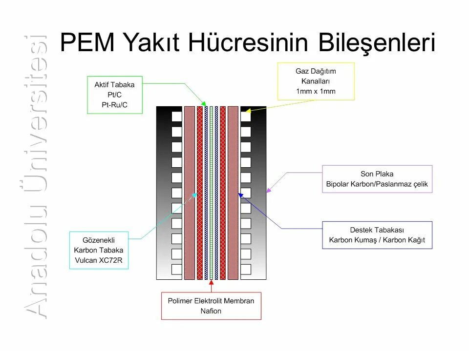 Pem routines no start line. Pem. коренной pem. pem кодировка сертификата. proton exchange membrane princip of work.