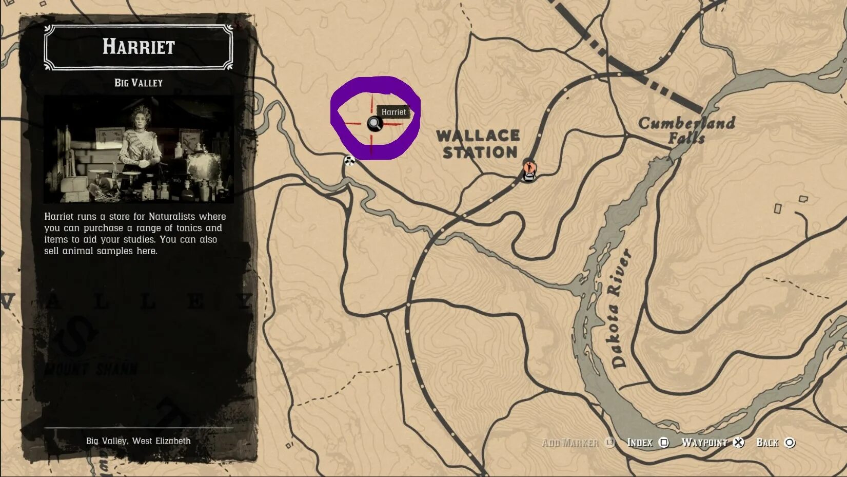 Драгоценности рдр. Хижина уотсонов rdr 2. карта сокровищ хижина уотсонов rdr 2. хижина уотсонов rdr рдр 2. магазин в строберри rdr 2 ограбление.