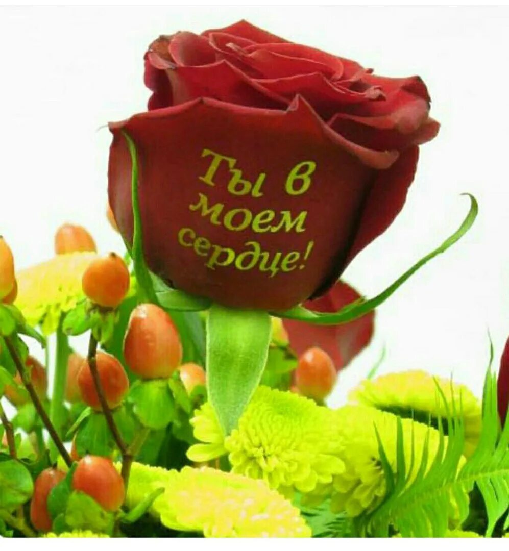 Открытка самой прекрасной. Самая красивая девушка открытка. Самой вкусной девушке. Самой вкусной девушке. Фотосессия с клубникой.