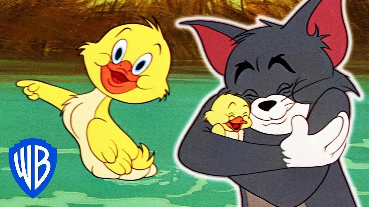 Кот том и гусь. Том и джерри утенок крякер. уточка из тома и джерри. том и джерри цыпленок. утёнок из тома и джерри.