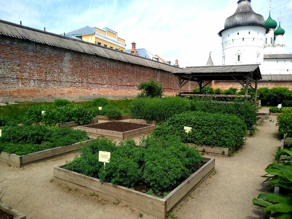 Митрополичий сад Ростовского Кремля. Аптекарский огород Ростовский Кремль. Митрополический сад Ростов Великий. Суздаль Спасо-Евфимиев монастырь Аптекарский огород.