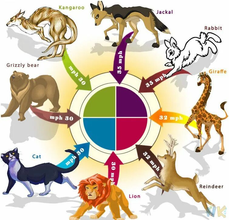 Ассоциация с животным. Какое животное со школьных лет ассоциируется. Смешные животные в школе. Какое животное со школьных лет ассоциируется. Школа питомцев.