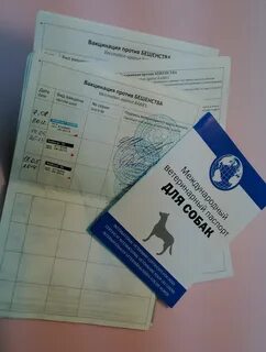Ветпаспорт