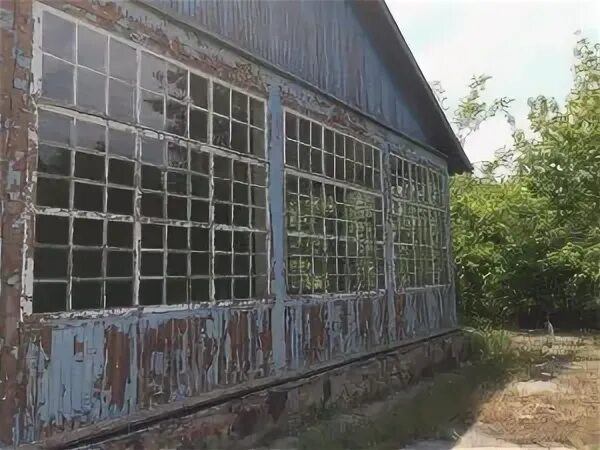 Лагерь северная рица новодвинск. Пляж пионерский лагерь артек 1934. Лагерь северная рица беломорье. Лагерь северная рица. Пионерский лагерь северное сияние севрыбхолодфлота анапа.