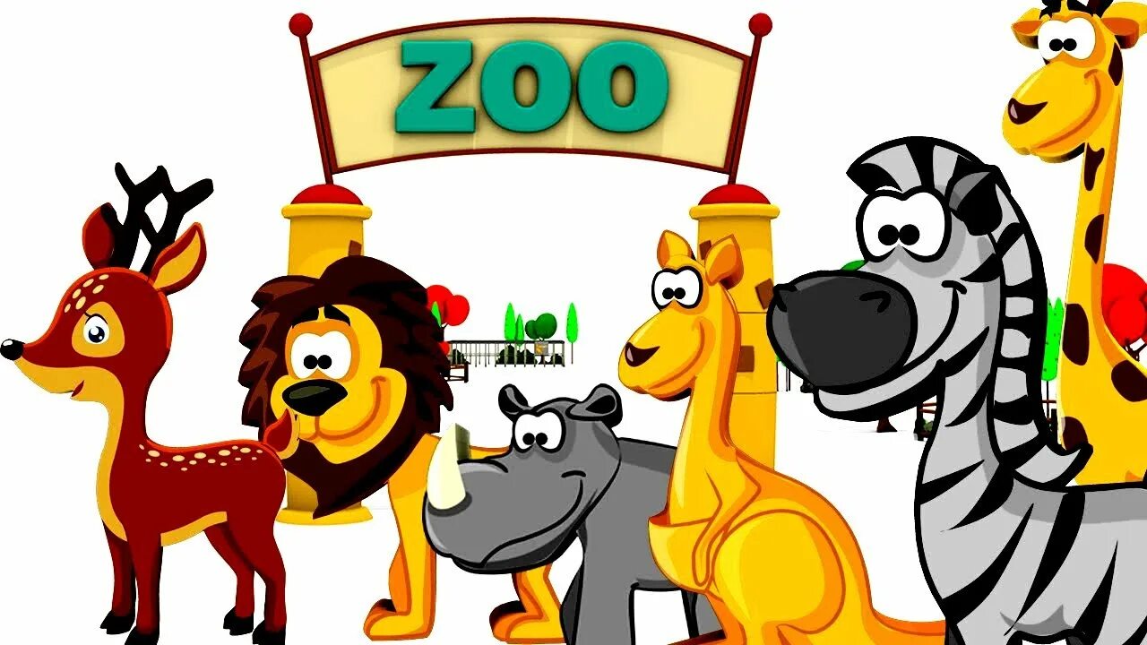 Zoo animals videos