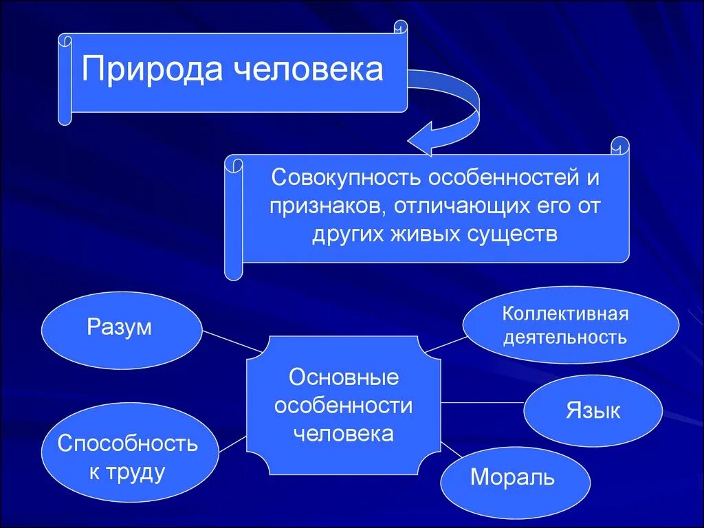 Он отличается большой и состоит из. Человек и природа философия. Природа человека и сущность человека. Природа и сущность человека в философии. Что такое человеческая природа философия.