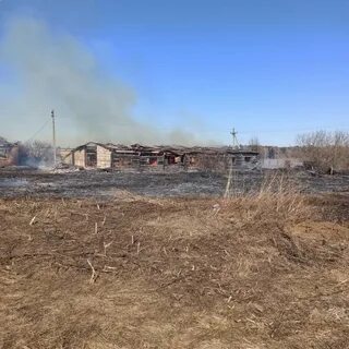 Погода в калеево