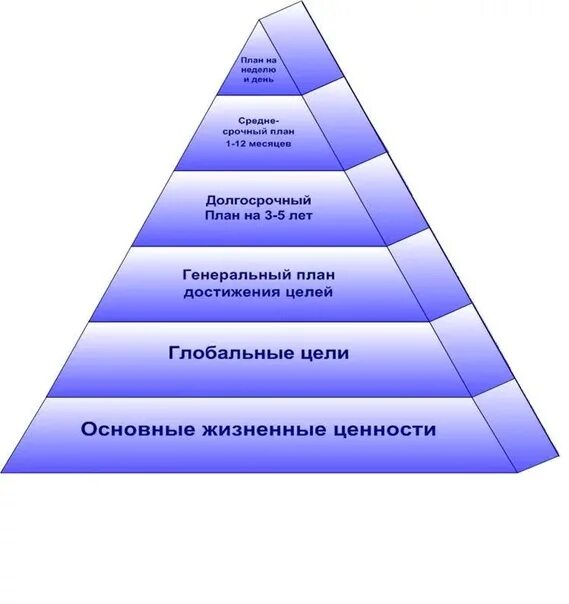 Перечислите основные жизненные