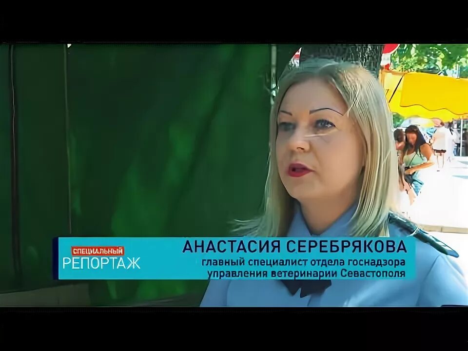 Севастополь репортаж. Севастополь репортаж. Севастополь репортаж. Возложение венков. Детский фонд подвел итоги конкурса.