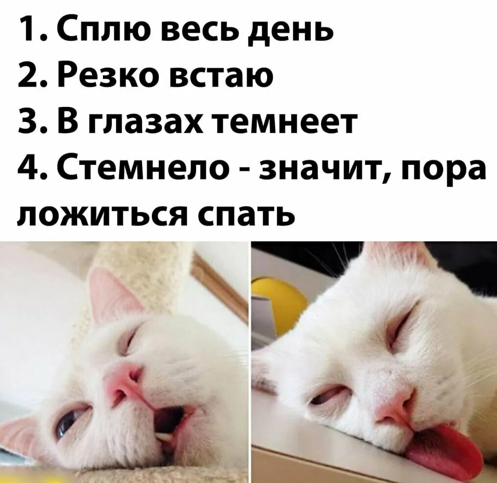 Пропущенный хочу спать. Спать весь день. сплю весь день резко встаю. я весь день сплю.