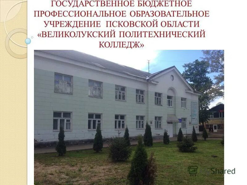 Великолукский политехнический колледж великие луки. Великолукский политехнический колледж великие луки. Великолукский политехнический колледж сайт. 8 училище великие луки. Великолукский политехнический колледж великие луки.