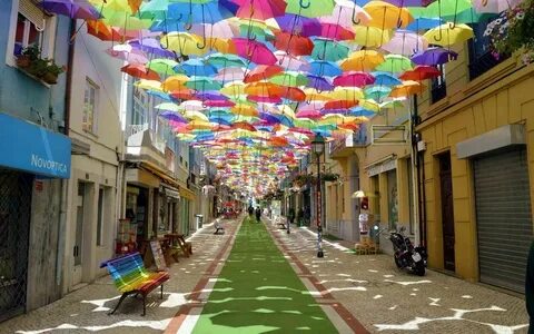 The most colorful