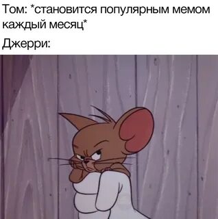 Том новый мем