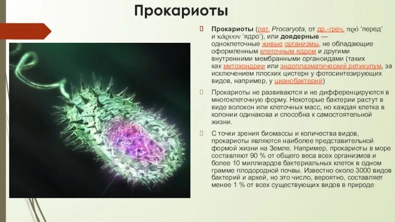 Группы организмов прокариот. Доядерные одноклеточные организмы. Прокариоты. Доядерные организмы прокариоты. Прокариоты это в биологии.