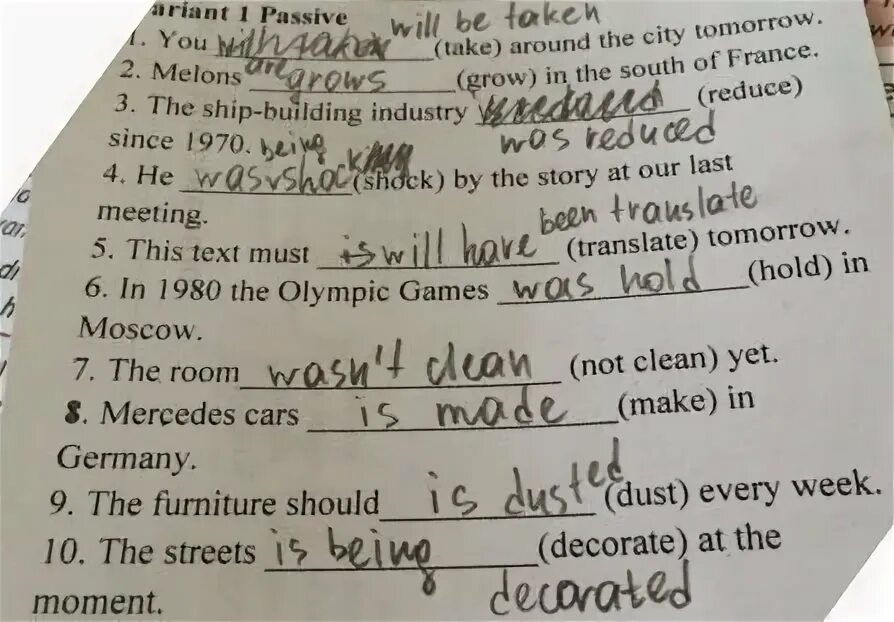 Дыня в теплице. Melons grow in the south of france. Melon breakers. Дыня в парнике. Болезни дыни в открытом грунте.