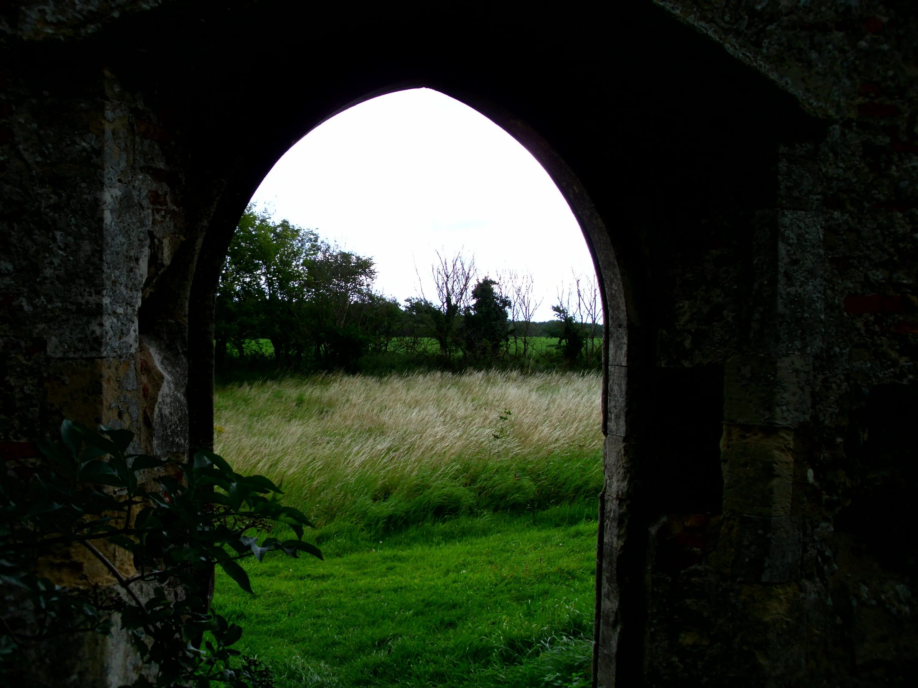 Тверская типография тверь. Outside picture. Inside looking out. Inside looking out. Inside looking out.