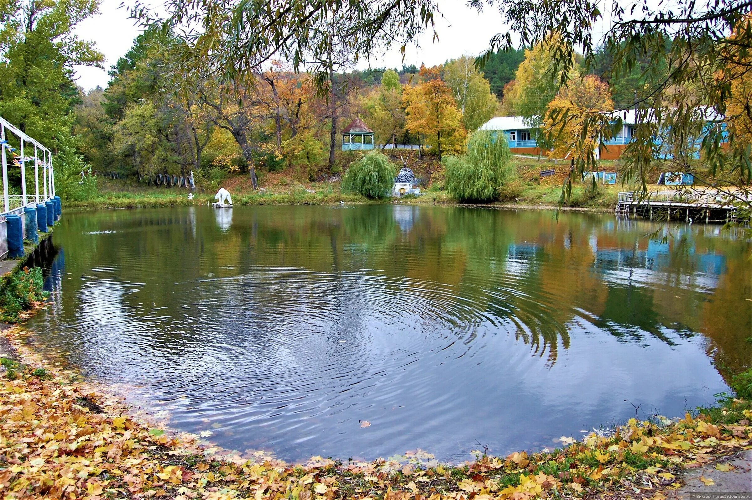 Вода в черемшане