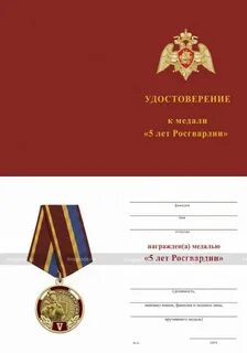 Пять лет на службе
