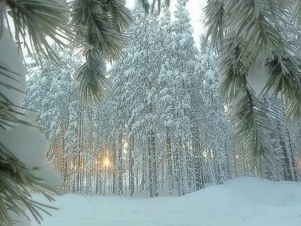 Морозный денек