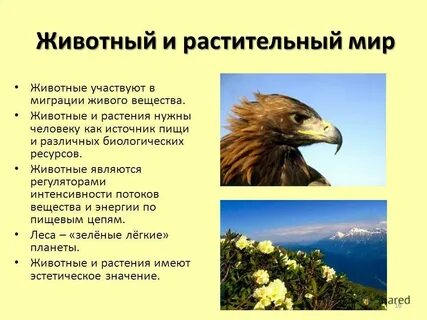 Природные ресурсы животных