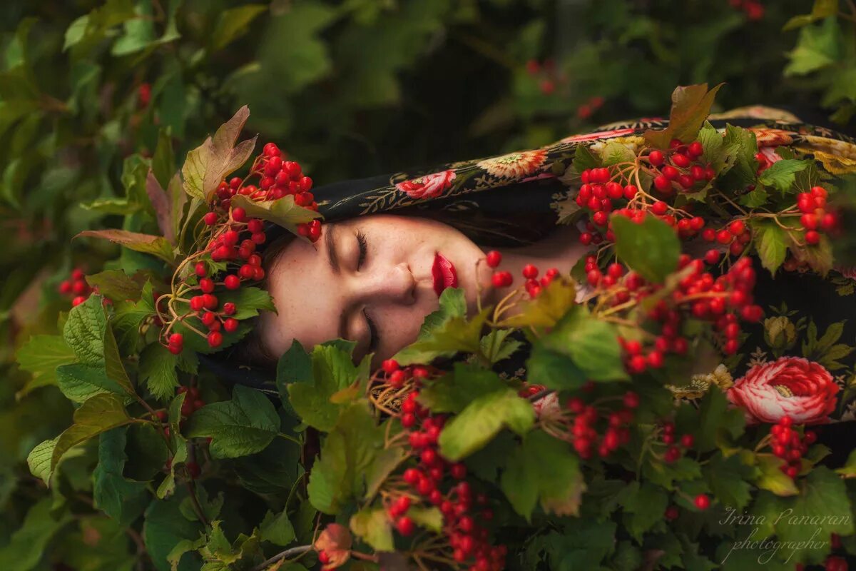 Обниму я куст рябины. Рябина и влюбленные. Обниму я куст рябины. Куст калины видеоклип. Рябина обыкновенная ягоды.