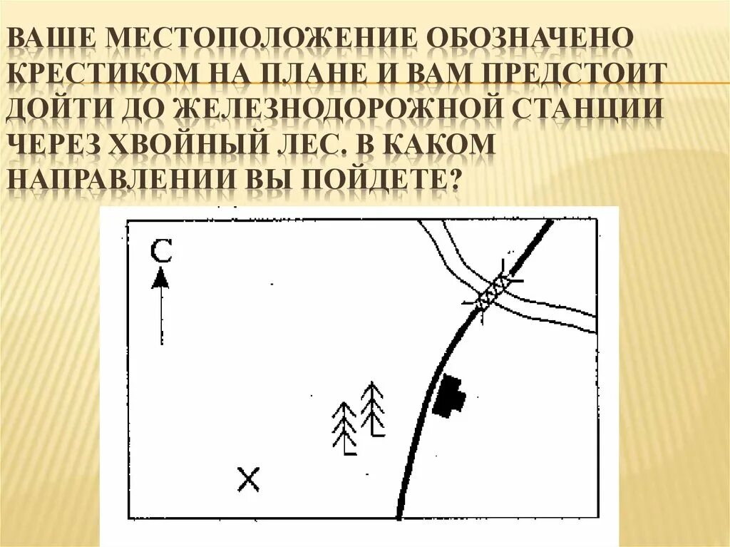 Стороны горизонта на плане местности. Крестики на плане местности. Направление сторон горизонта на плане местности. Как определить стороны горизонта на плане местности.