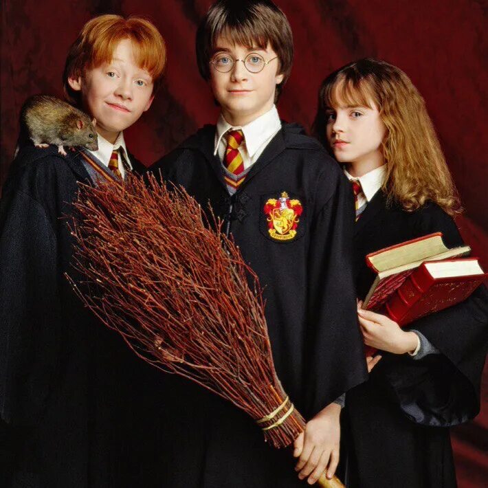 Маггловская школа гарри поттера. Рон и гермиона из гарри поттера. Гарри рон и гермиона тайная комната. Золотое трио гарри поттер. Персонажи гарри поттера в слизерине.