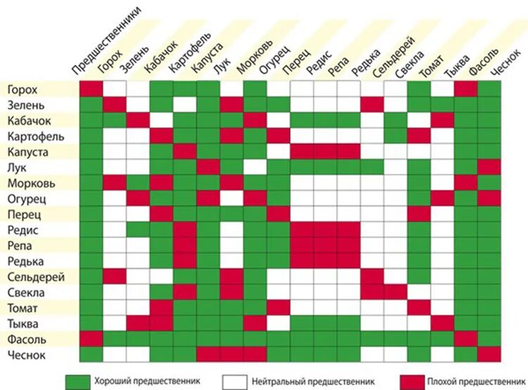 Можно ли рядом с чесноком. Таблица посадок овощных культур. Таблица совместимости посадок овощных культур. Севооборот овощей таблица совместимости. Таблица совместимости растений на огороде.