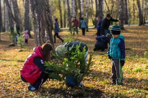 Эко томск