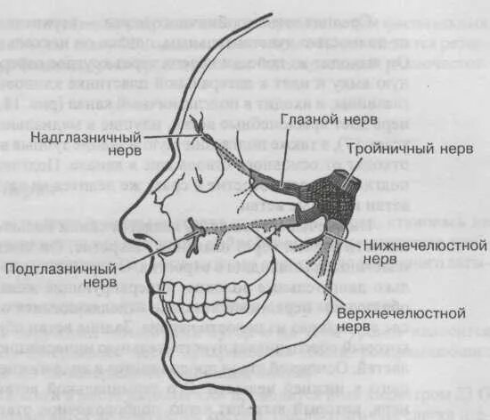 Блокада тройничного. Зуб мудрости и тройничный нерв. Лицевые нервы зуба мудрости.