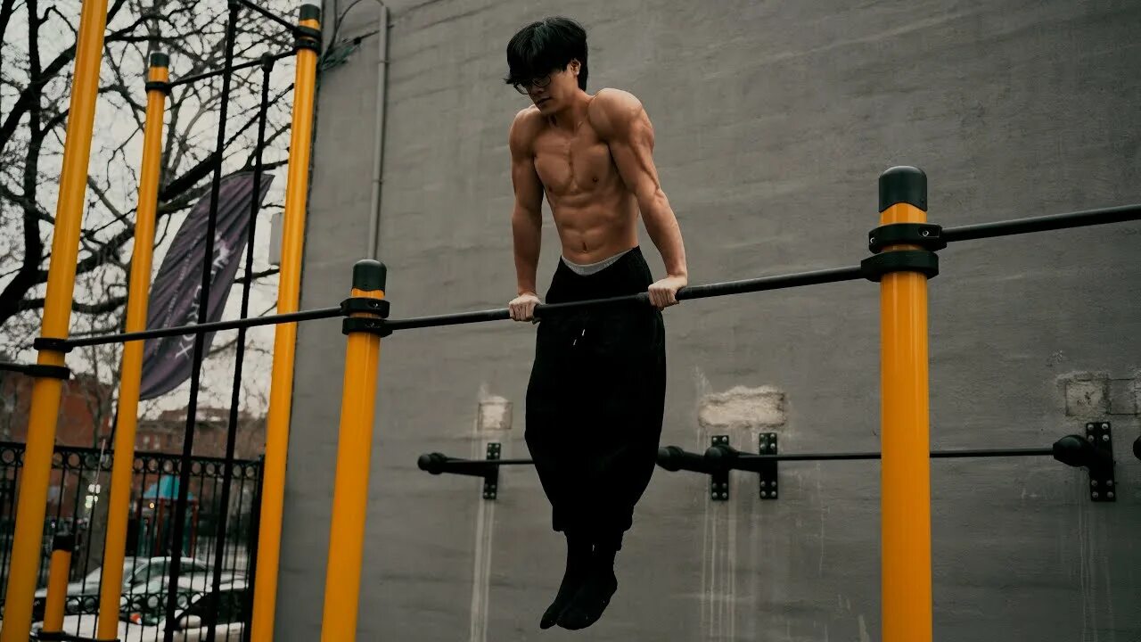 Calisthenics playbook for push pull squat. Calisthenics playbook for push pull squat