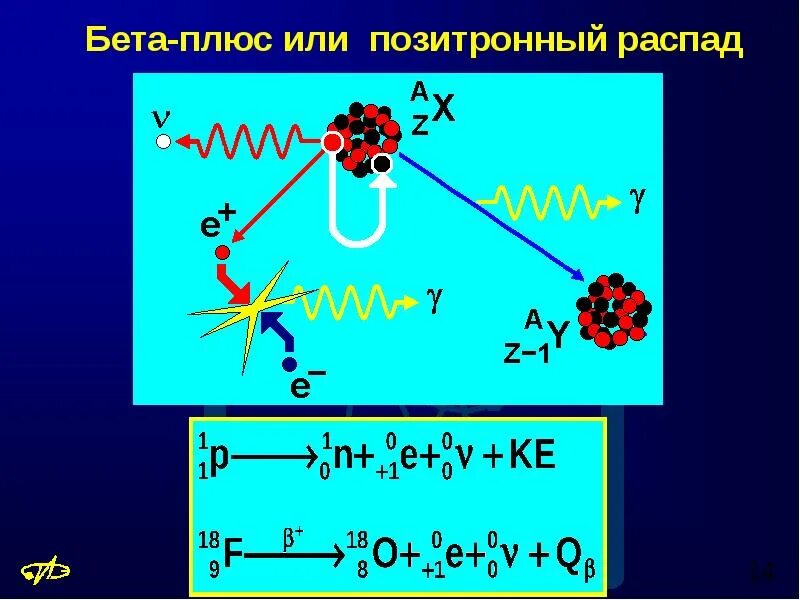 Бета 7 это. Электронный и позитронный бета распад. схема бета распада ядра е захват. бета плюс распад формула. электронный бета распад формула.