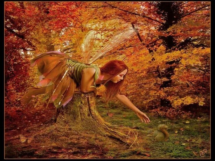 Fairy fall