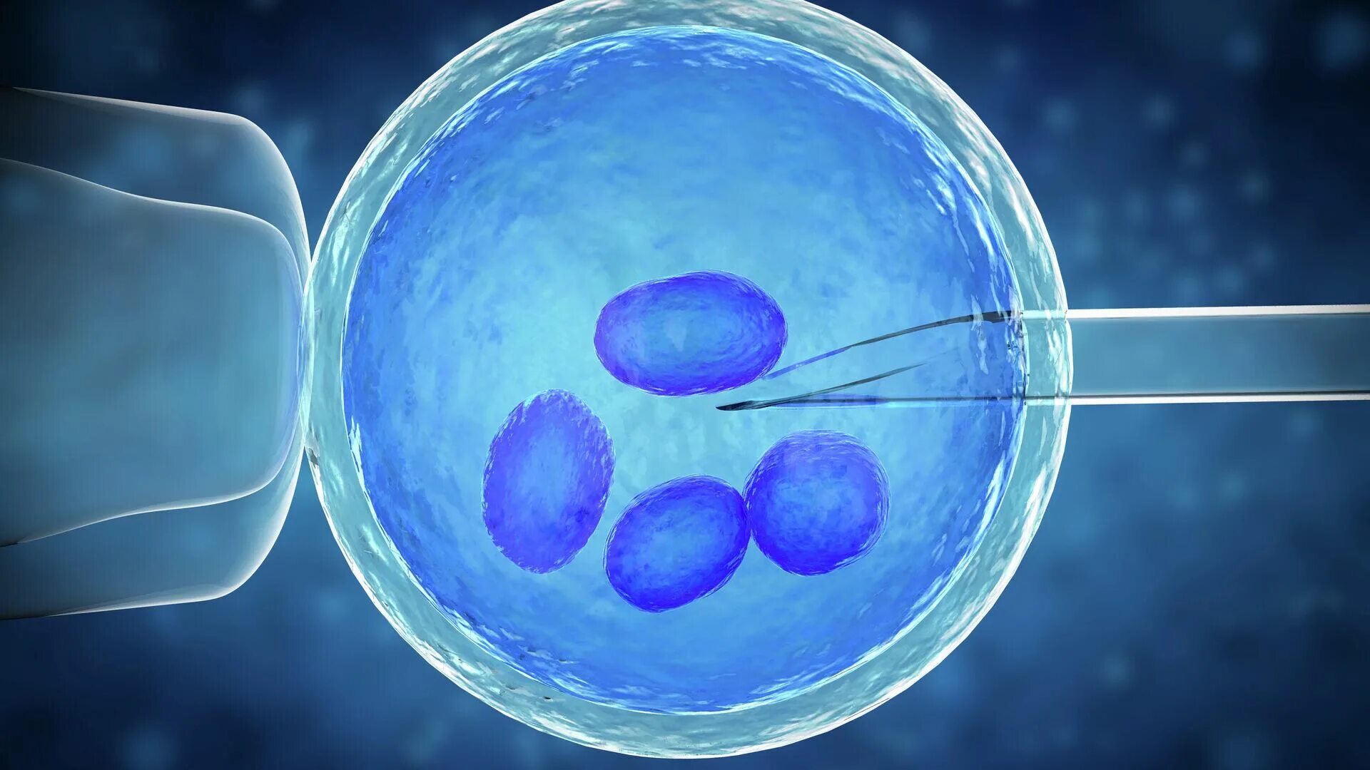 Экстракорпоральное оплодотворение. Оплодотворение яйцеклетки in vitro. Эко это искусственное оплодотворение. Экстракорпоральное оплодотворение фото.