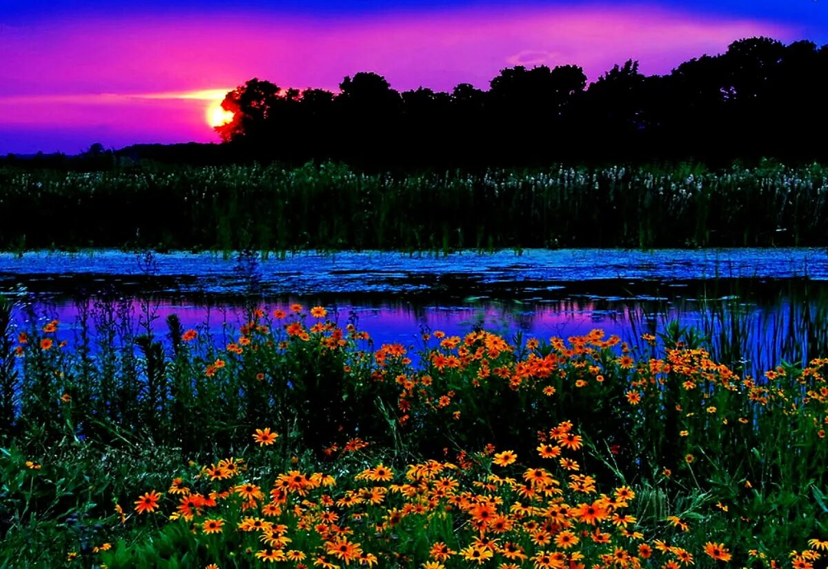 летний закат. красивый закат. добрый вечер природа. сумерки природа. ночь на закате лета.