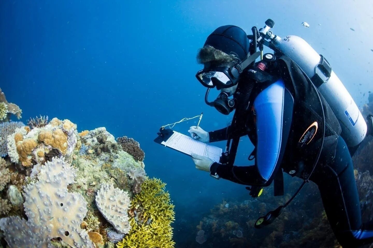 Сообщение на дне морей и океанов