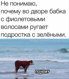 Вы думаете не поймут что