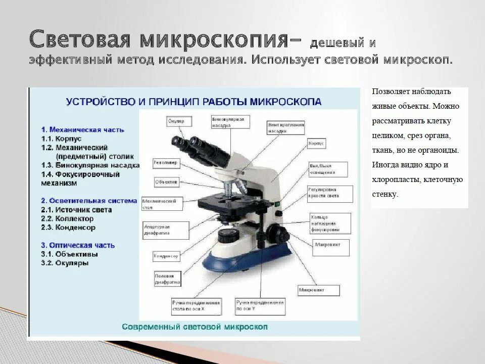 Какую функцию выполняет основание светового микроскопа. Строение микроскопа оптического микроскопа. Макровинт у светового микроскопа. Схема устройства светового микроскопа. Световой микроскоп монокулярный строение.