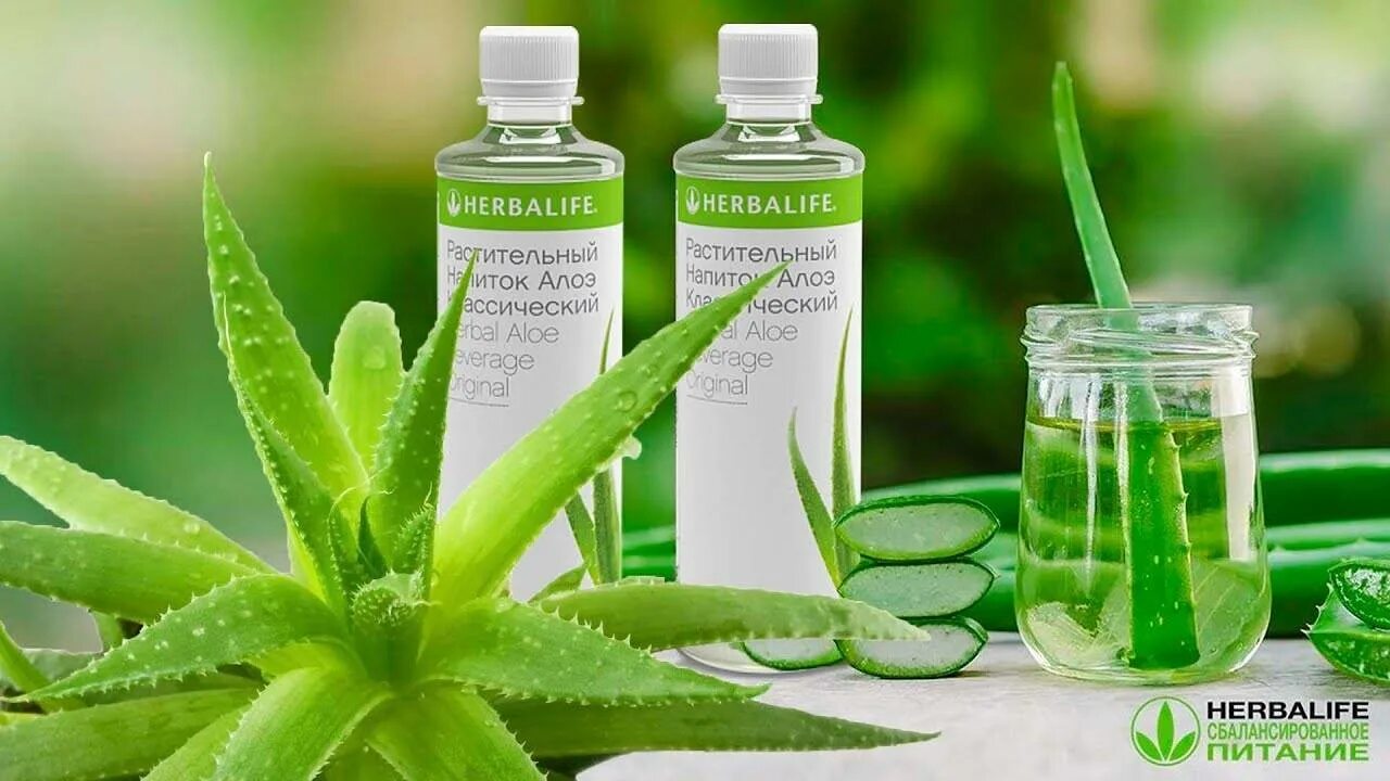 Green aloe. Сок алоэ Гербалайф. Алоэ напиток Herbalife. Гербалайф алоэ концентрат классический.