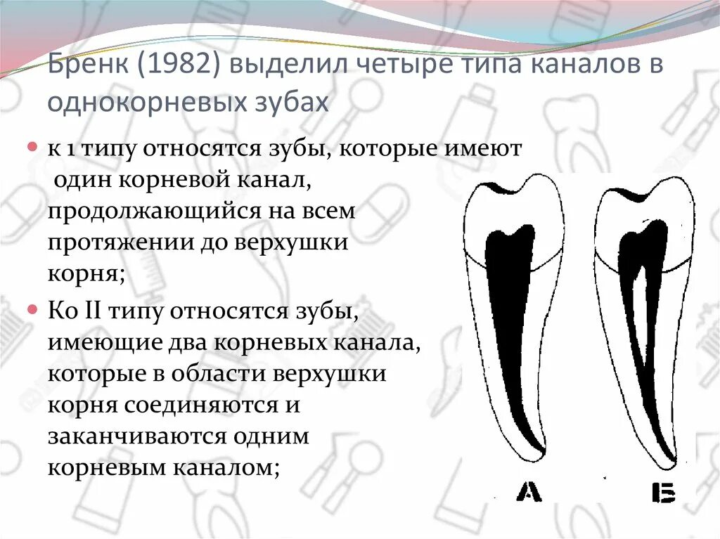 Типы корневых каналов 4 типа. Типы корневых каналов в однокорневых зубах. Расположение корневых каналов в зубах. Типы корневых каналов по Бренку.