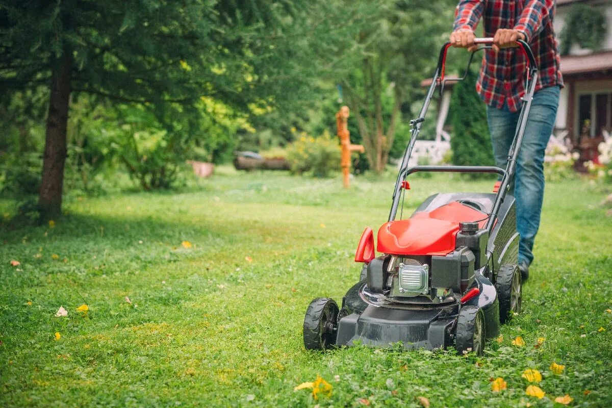 Lawn mower. Al-ko 4.66 SP-A. Бензиновая газонокосилка (триммер) для стрижки газона модель cg520. Газонокосилка Champion lm5131. Стрижка газона.